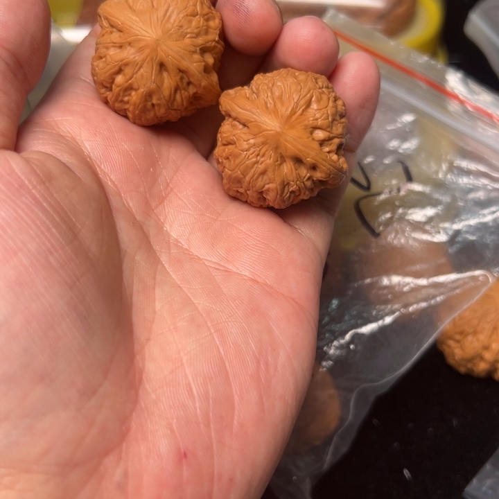 核桃铁锤，35，已打底