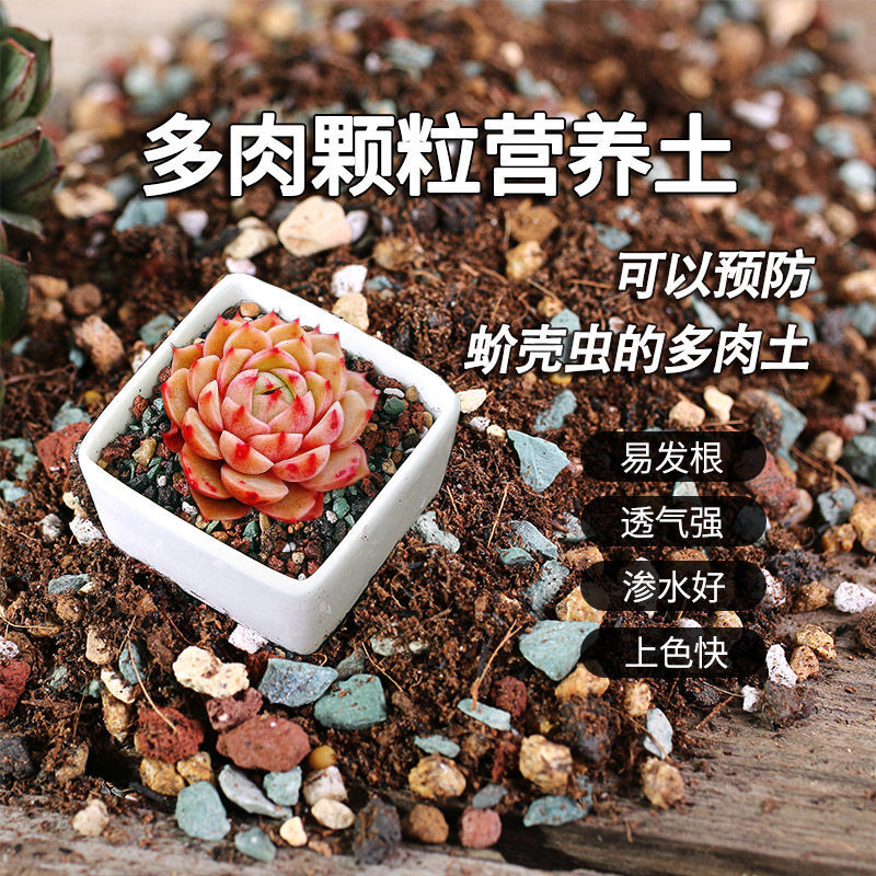 【山地玫瑰专用土】多肉专用颗粒多肉专用营养土营养土