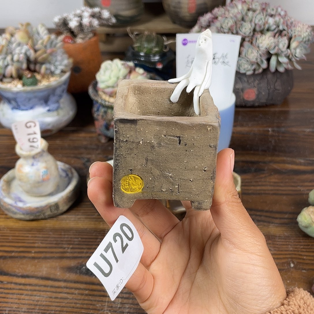 魔***七哈哈哈哈哈哈哈哈哈哈哈哈哈哈