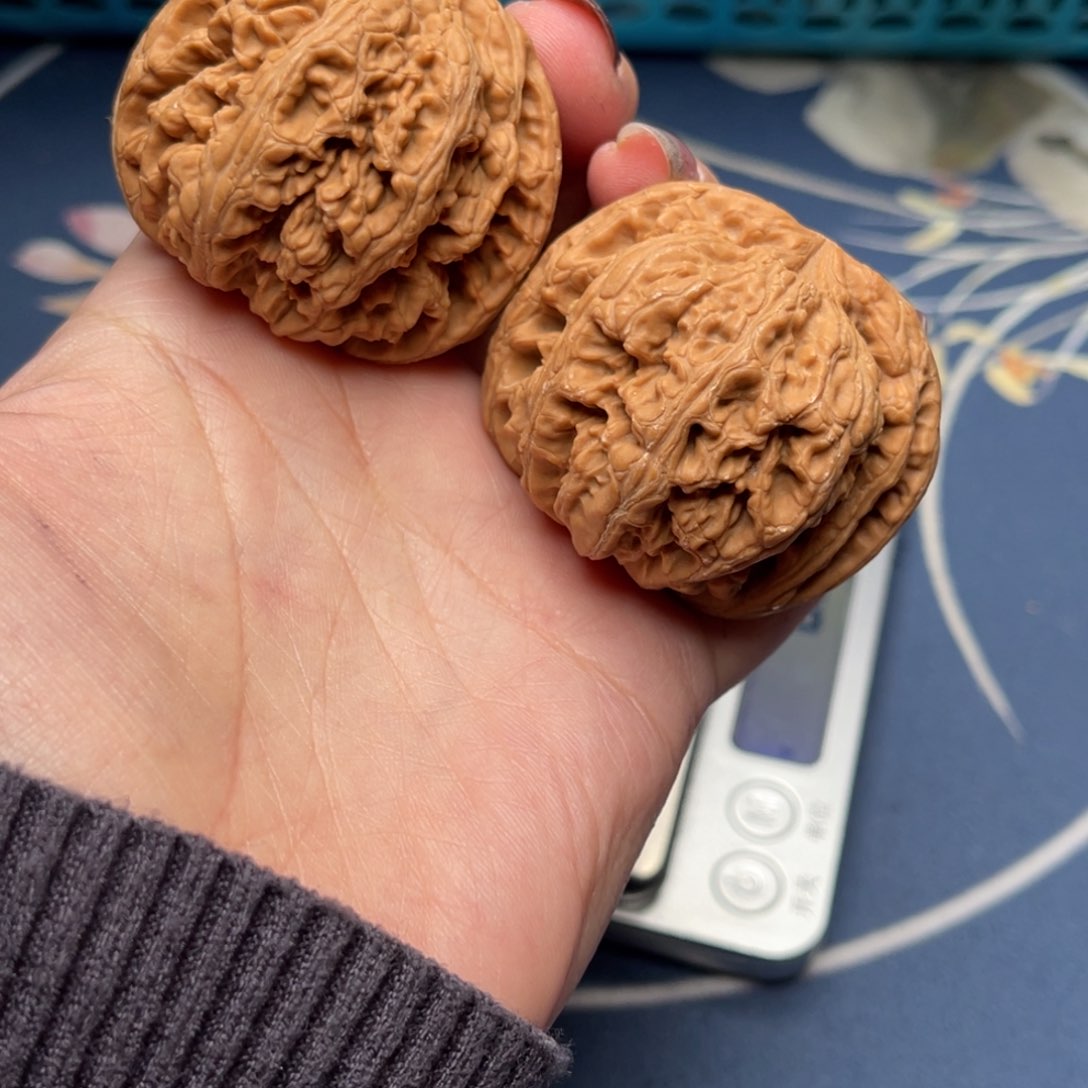 文玩核桃把件粗筋46