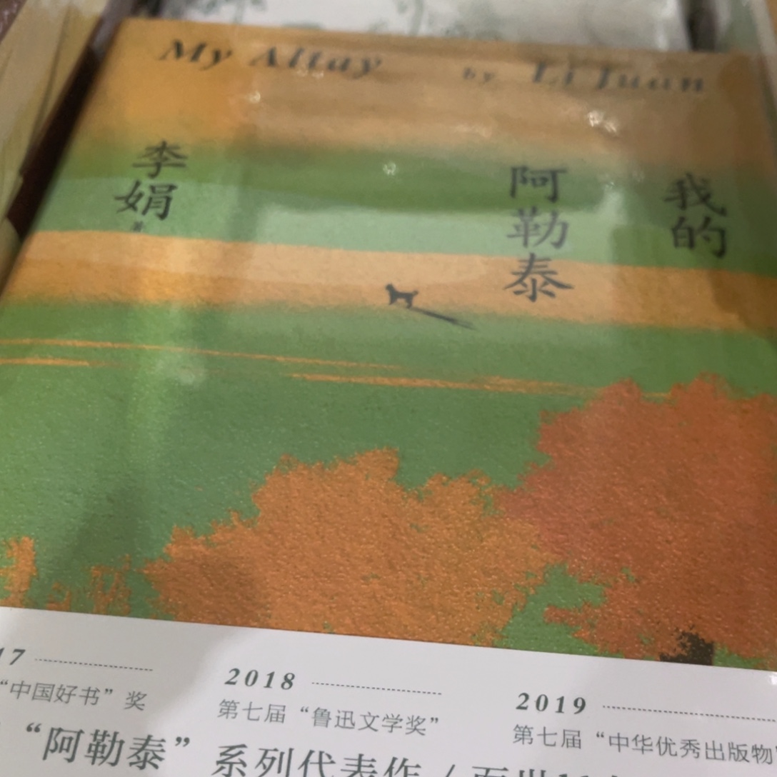 我的阿勒泰看着一个