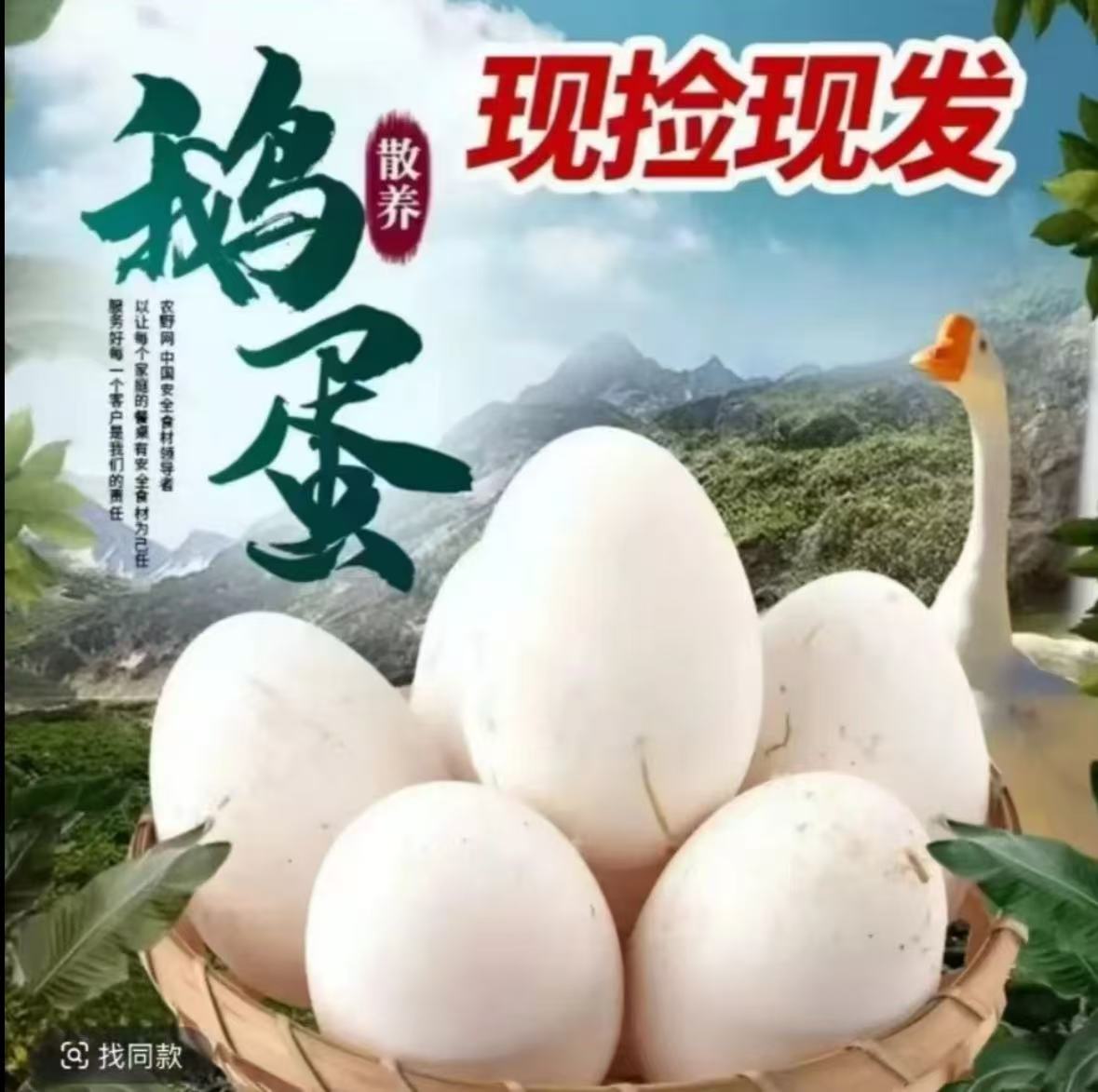 拍10个送10个农家土鹅蛋散养谷物喂养当日现捡破损包赔到手20个