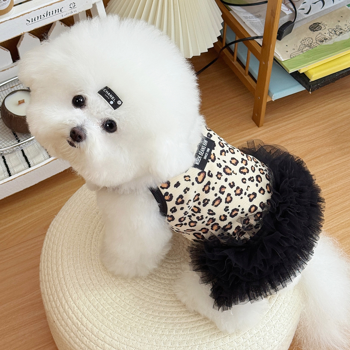 夏上新日韩ins风性感豹纹宠物狗狗猫咪衣服泰迪比熊轻奢网纱裙