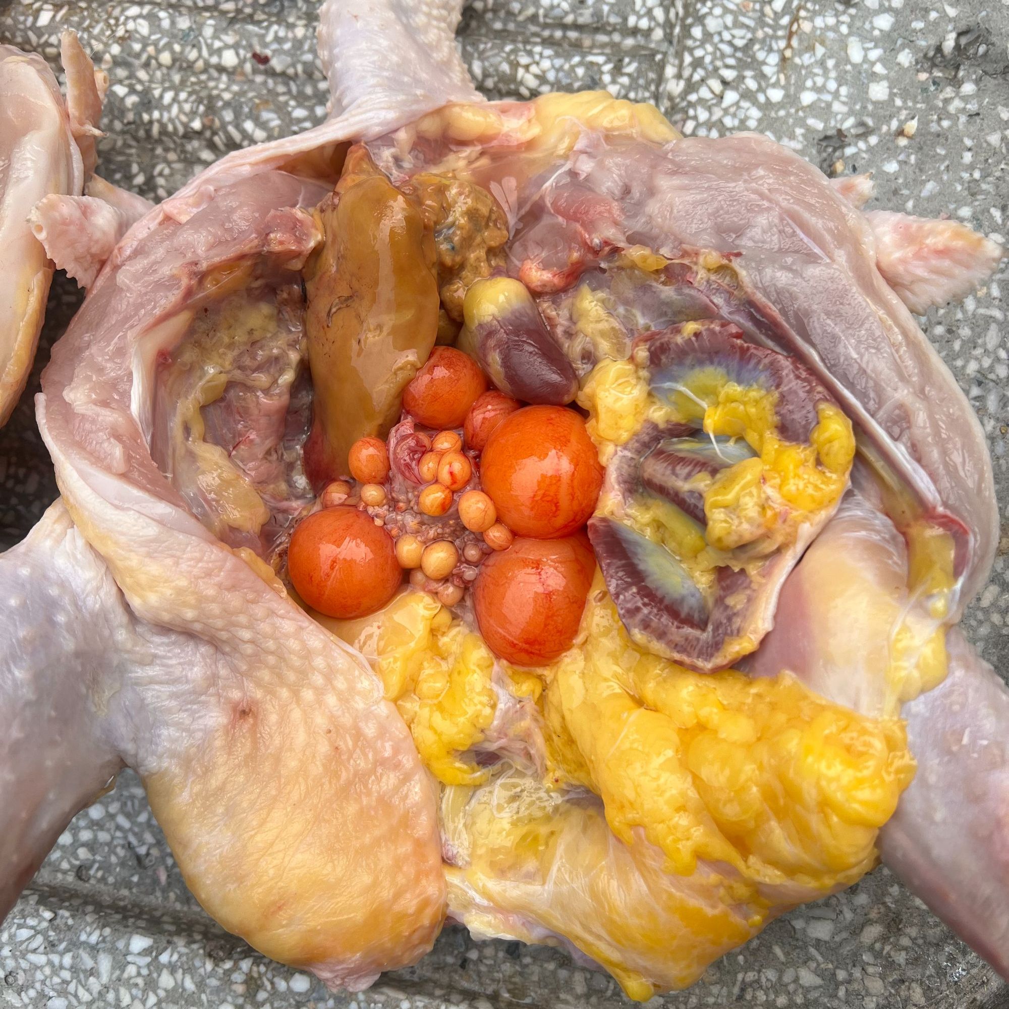 【当天现杀】炖汤2只皖南黑脚老母鸡 1年半 每只杀好 约2.5斤 ph