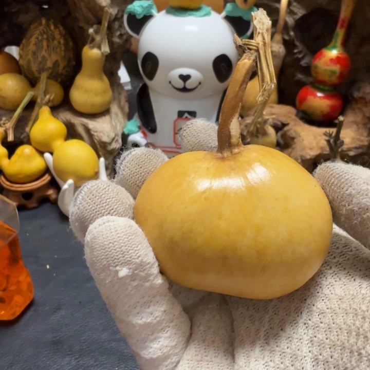 瑞***航666666666666666666