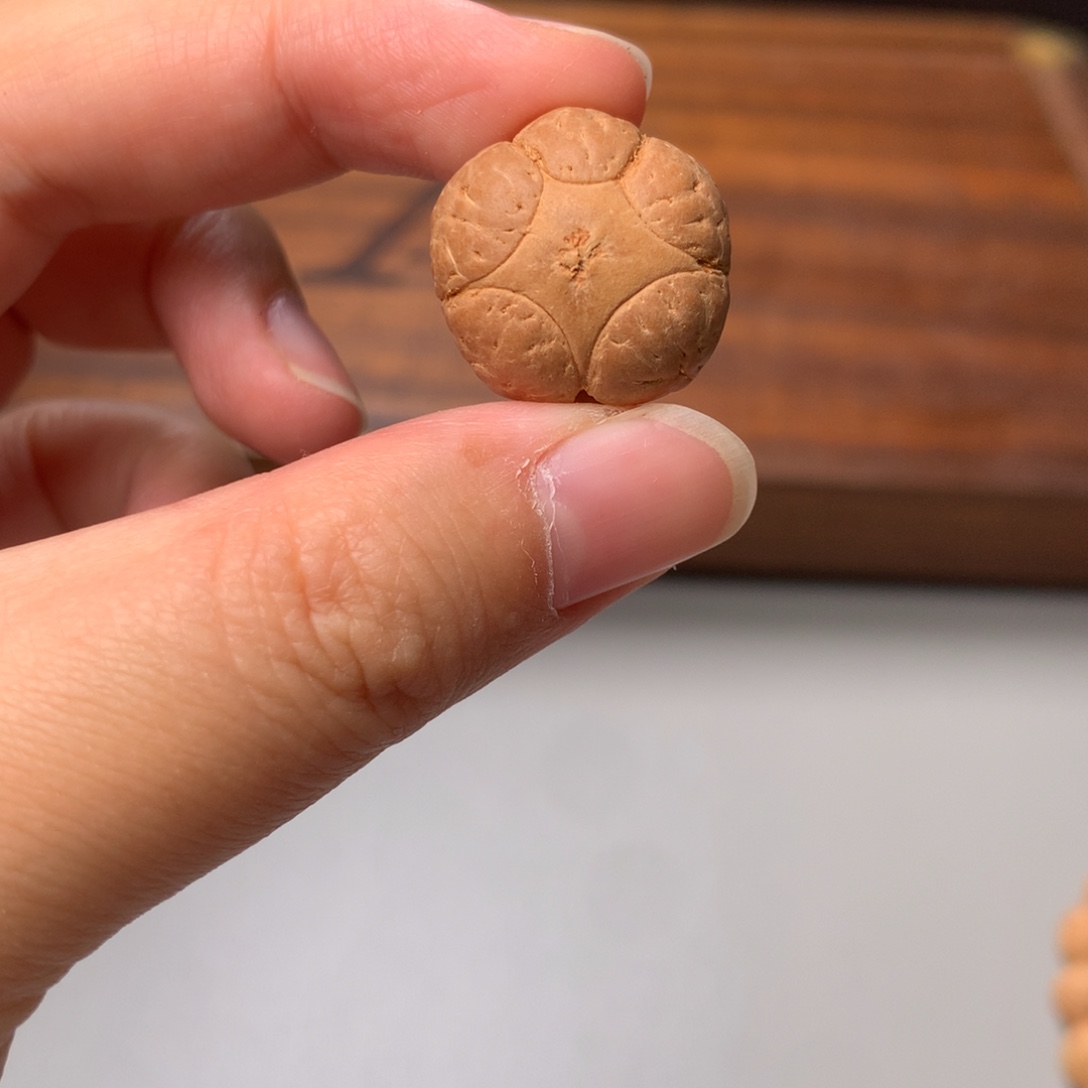 吊坠凤眼菩提五星21mm