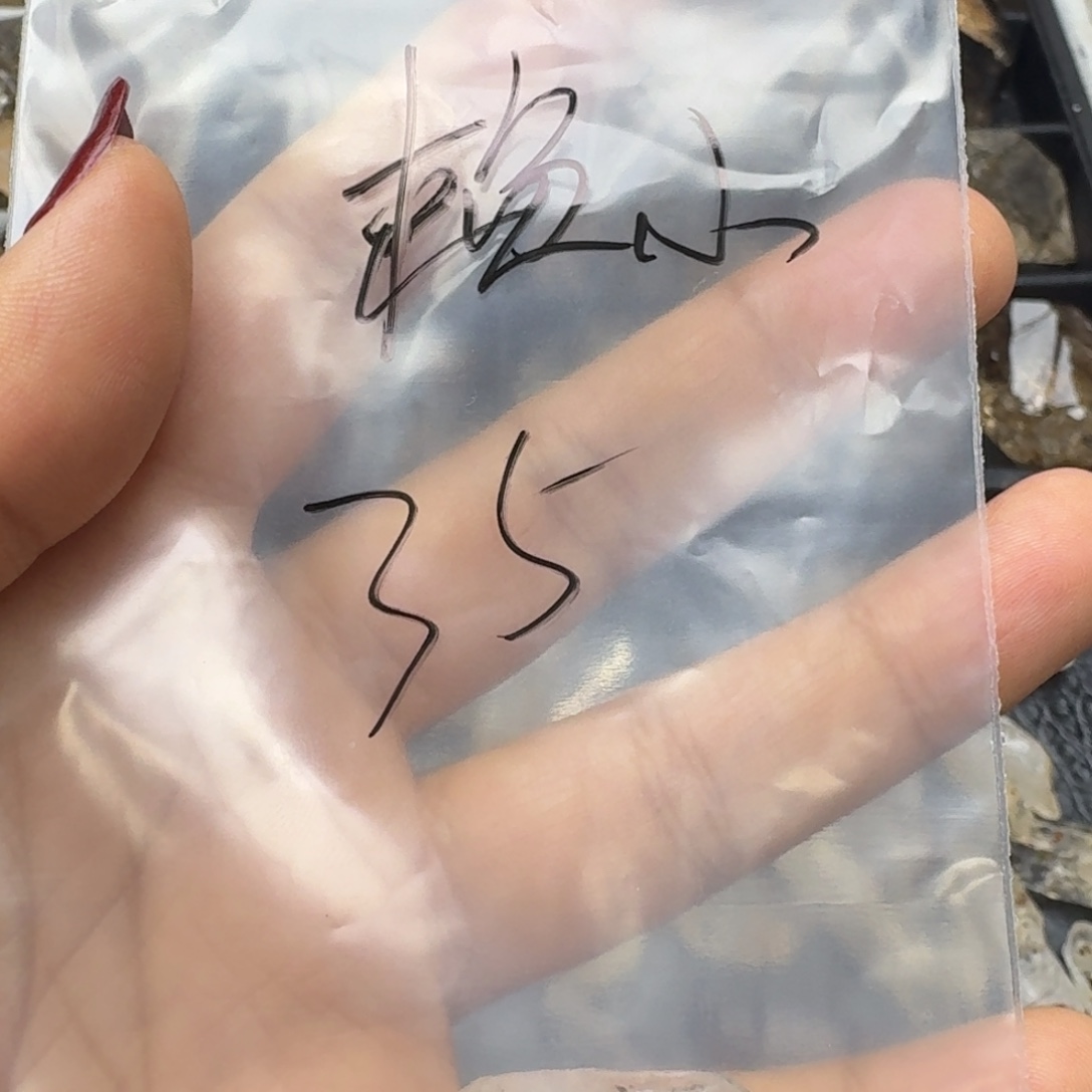 赖****石材油胆骸原石水晶