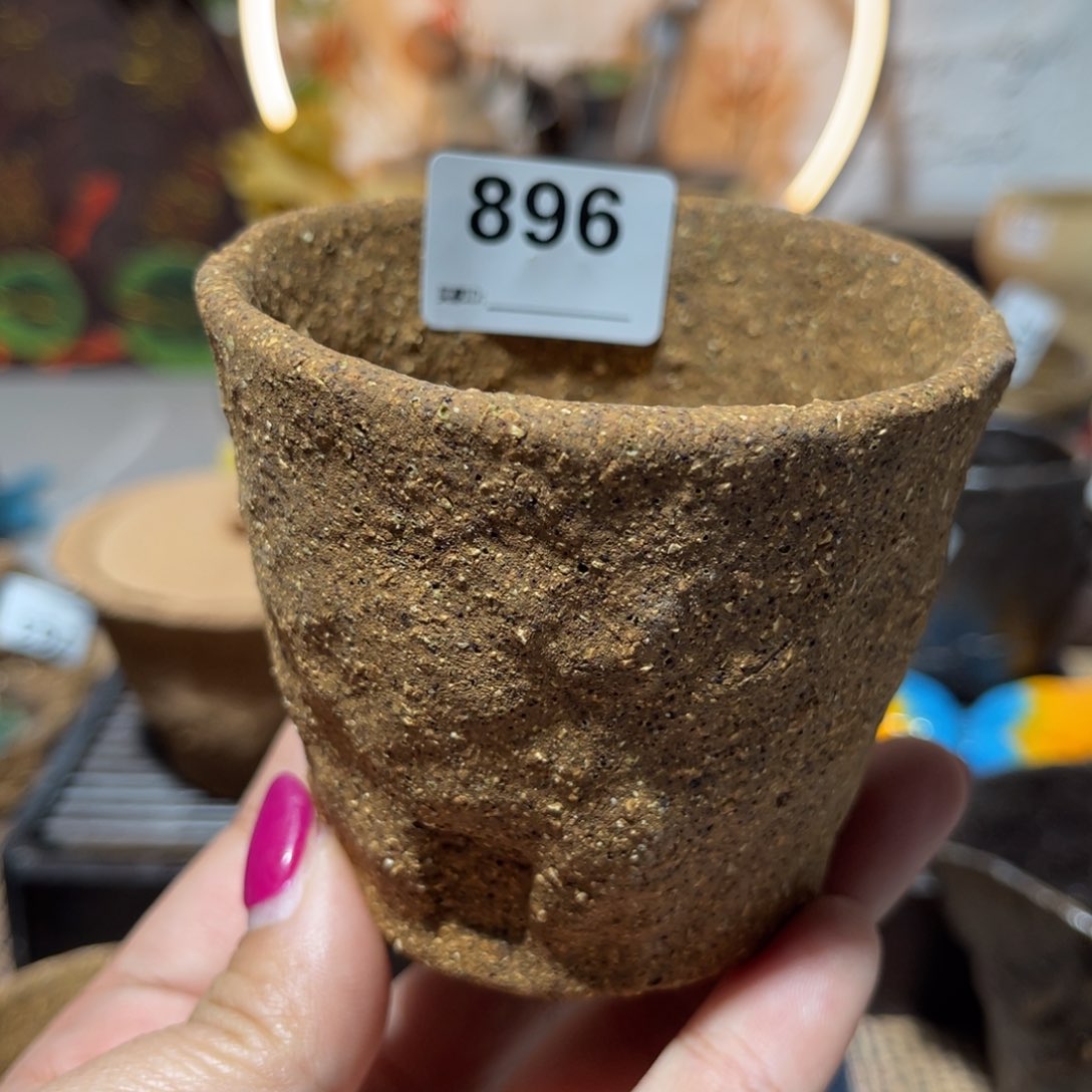 木村信弘柴烧保平