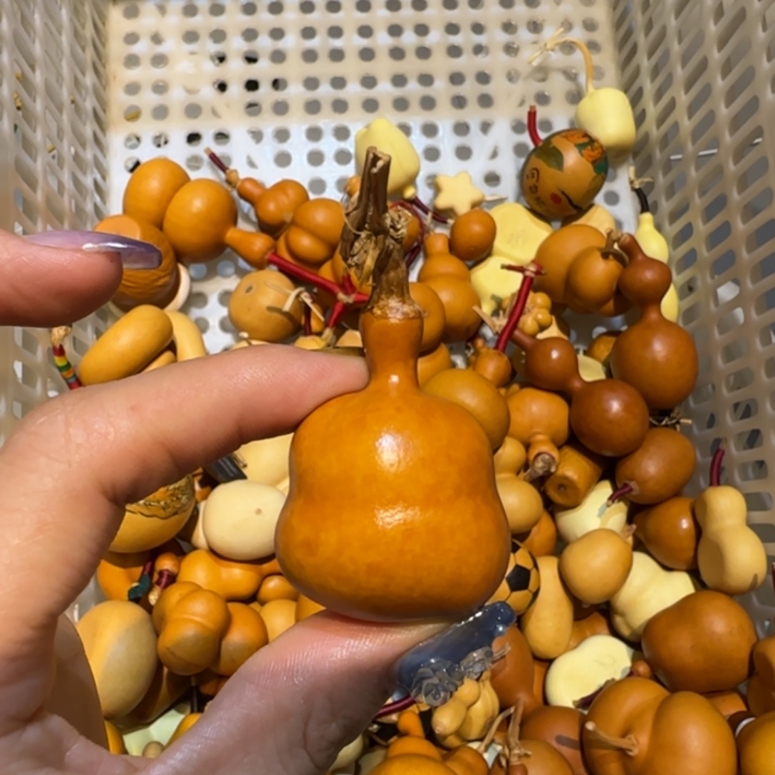穗***岁哈哈哈哈哈哈哈哈哈哈