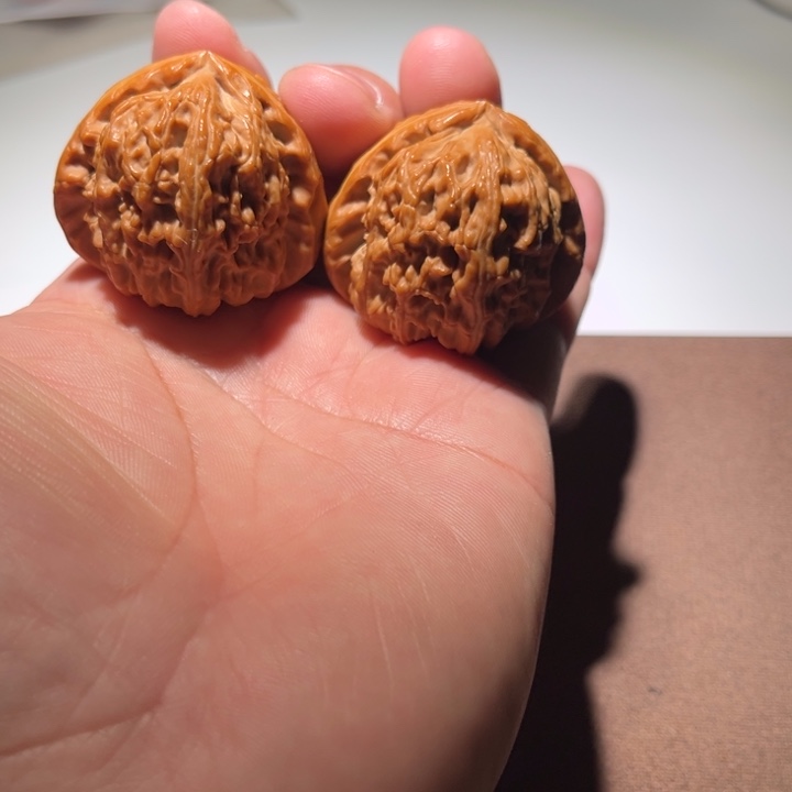 番***蒋精品白狮子41尺寸