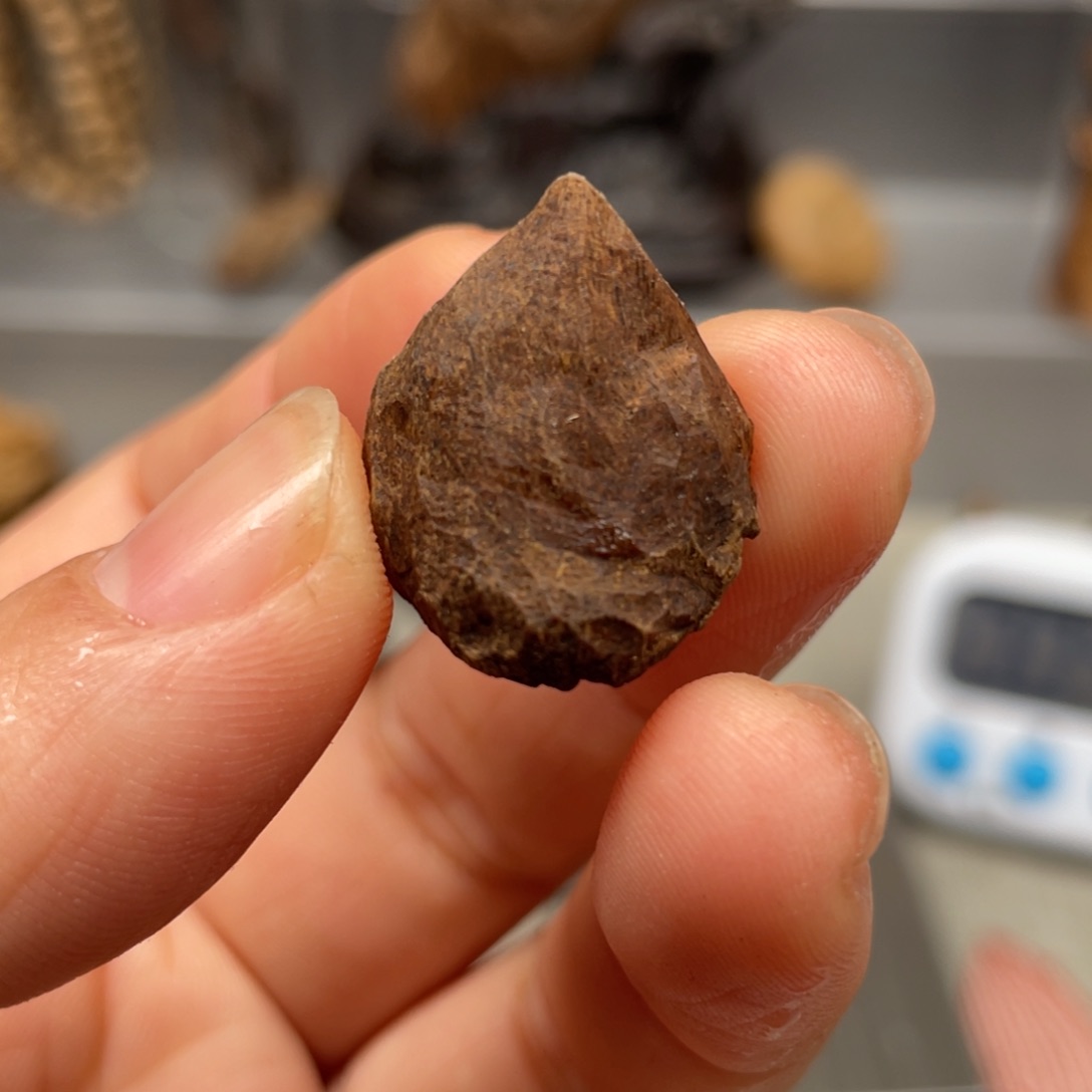 【闪购商品】沉香碎屑沉香芽庄沉水