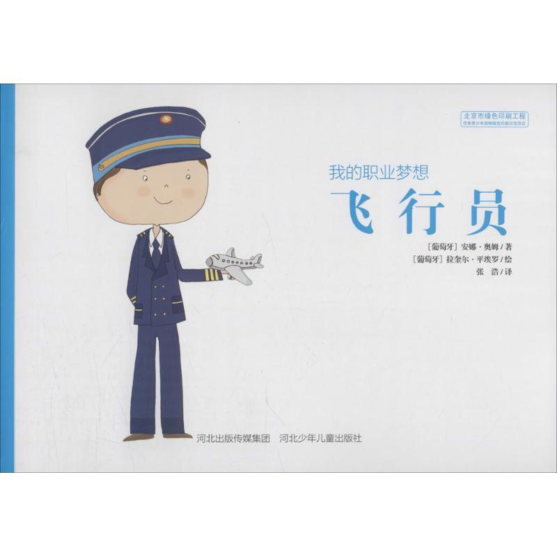 我的职业梦想飞行员