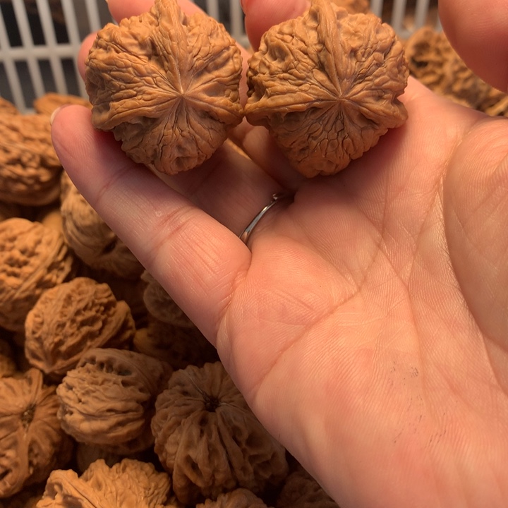 用***1文玩核桃吊坠三棱