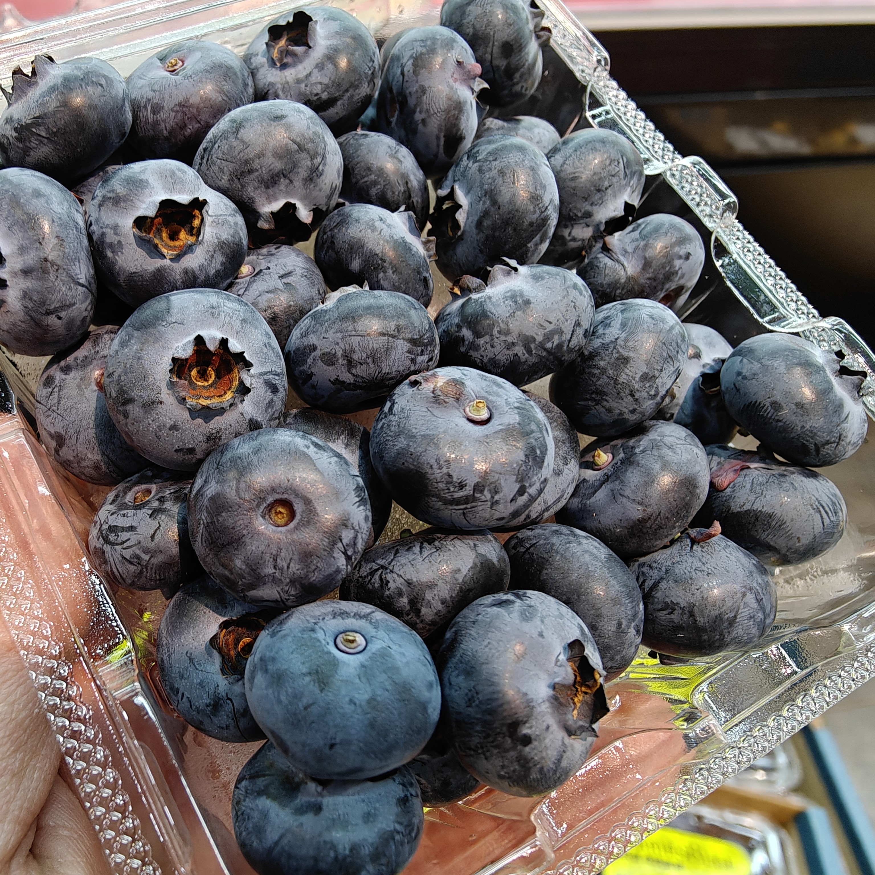 云南蓝莓 125g 18mm➕【脆甜可口 花香浓郁】云南省