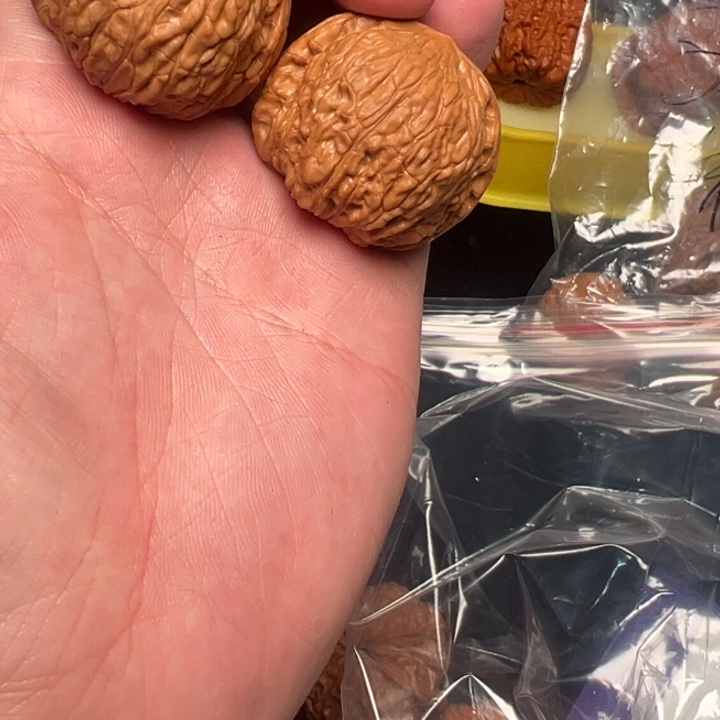 核桃大****儿niqiubei，38已打底