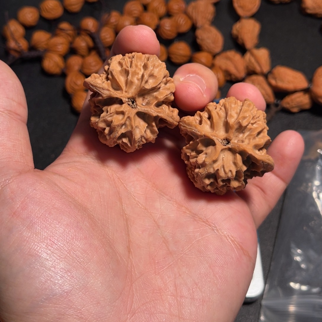 40全品原桩苹果圆双面转圈配