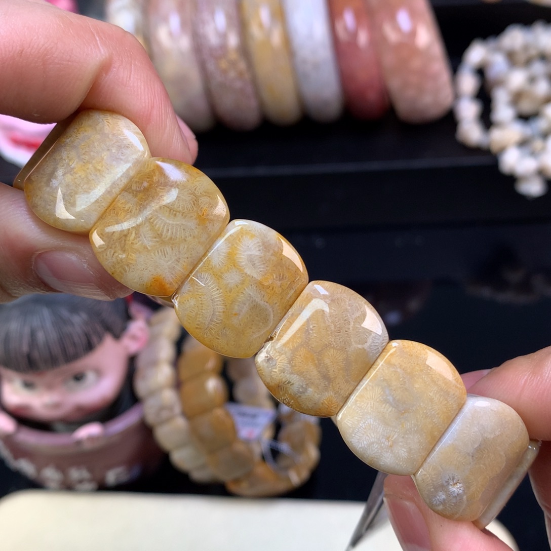 硅化珊瑚（珊瑚玉）未镶嵌颈饰3号金黄底虫纹