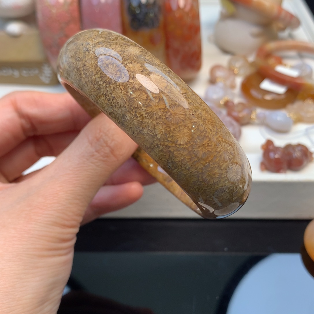 硅化珊瑚（珊瑚玉）手镯未镶嵌依*