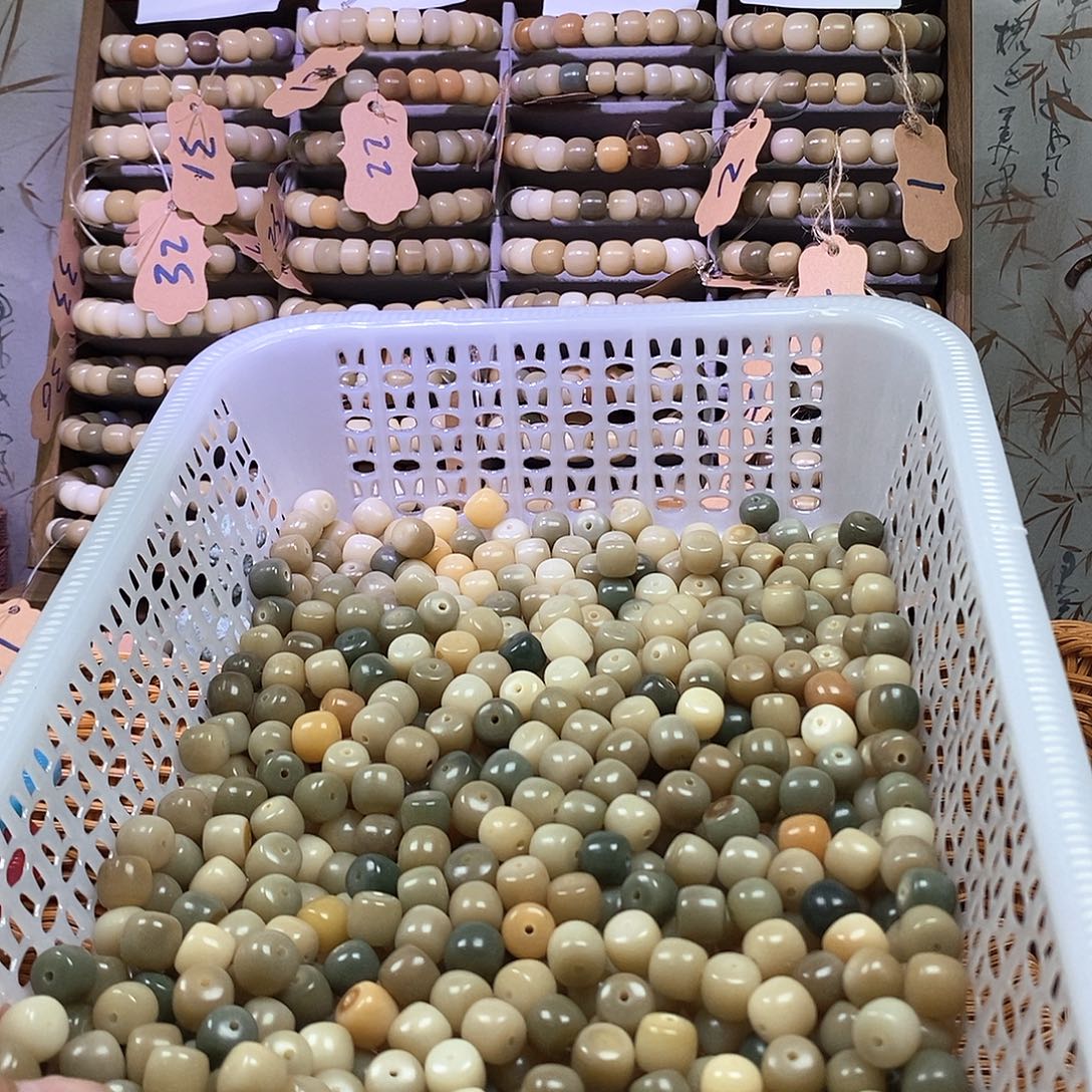 吊坠菩提根/象牙果
