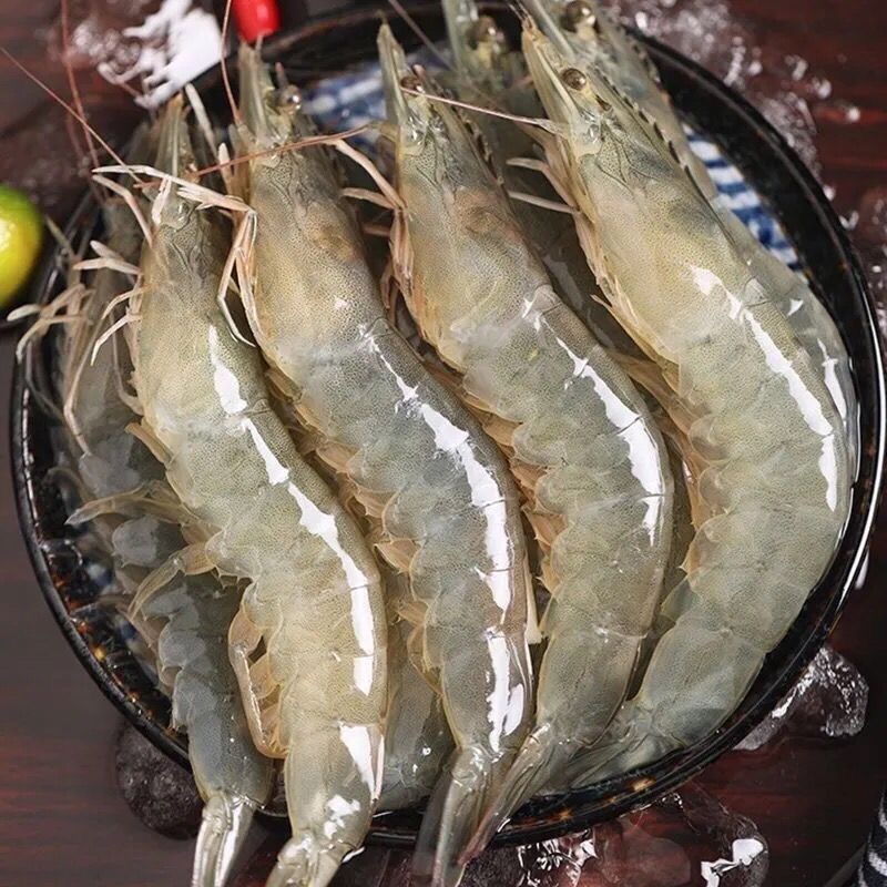 渔船海捕 海水虾 大号海虾1斤14-18只速冻锁鲜新鲜味美 整箱5斤