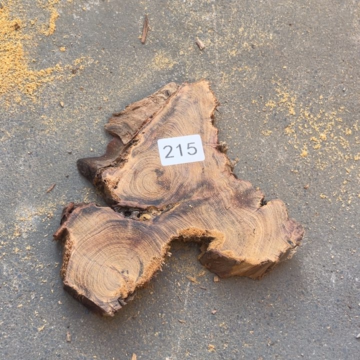 柏木南太行崖柏切片