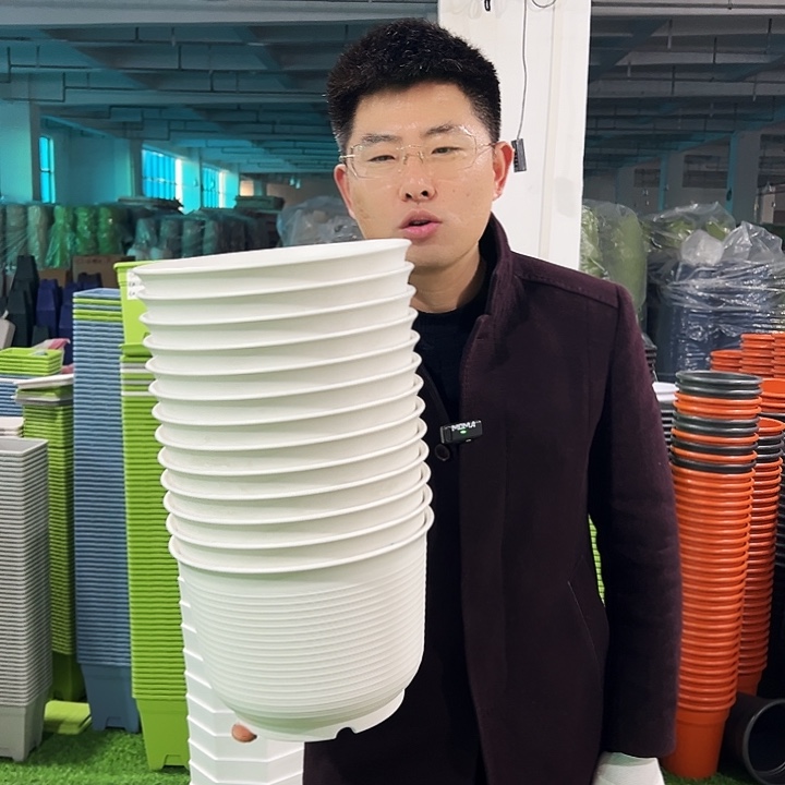 正品矮陶口24高17白色6只无托