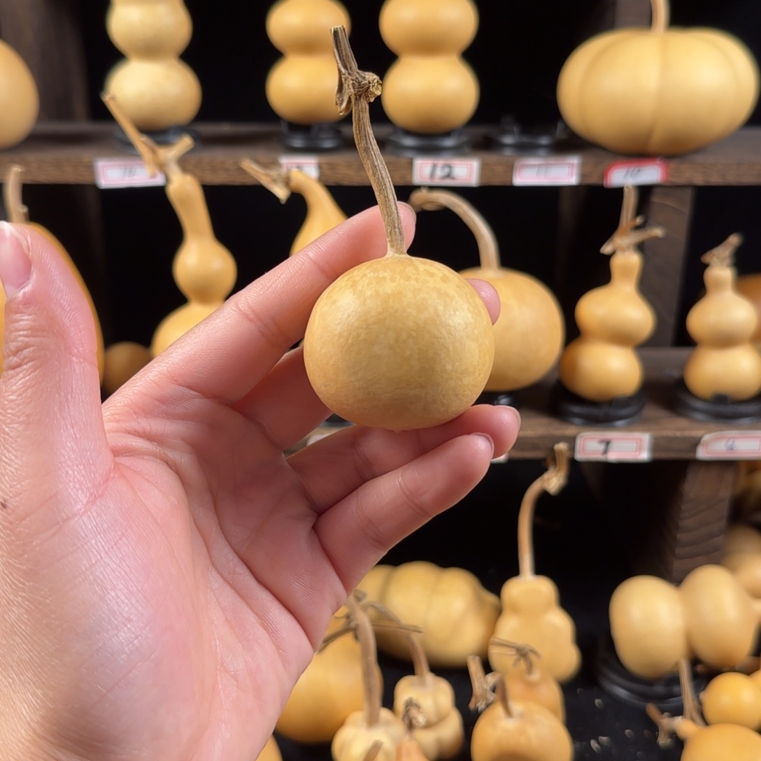 小***9葫芦葫芦葫芦葫芦葫芦葫芦