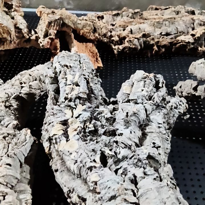 嘉***厅顺顺利利，平平安安
