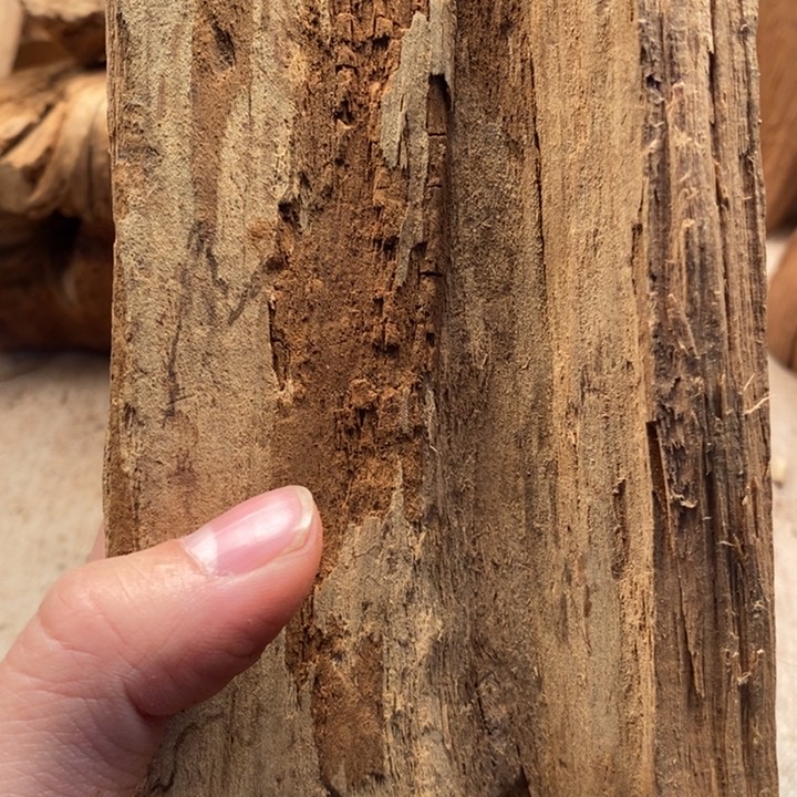 檀香木老山檀香牌子料155克