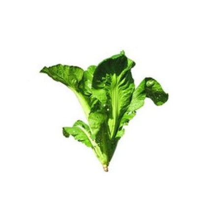大芥菜500g