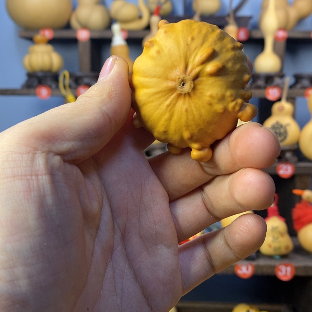 终*。墨西哥葫芦娃