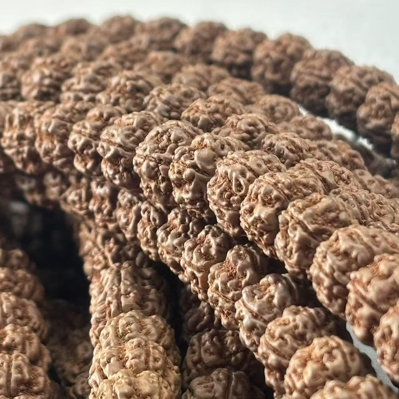 《大嫂》原生态盘龙王9-10mm左右+钢刷