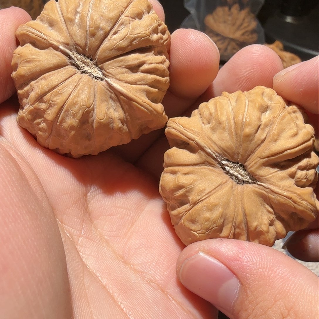 文玩核桃吊坠南瓜·货头