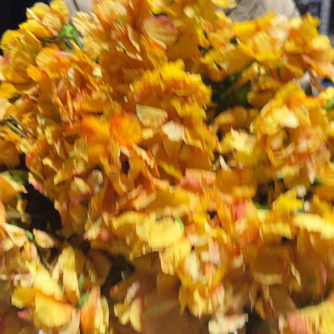 785号孤品多头25支