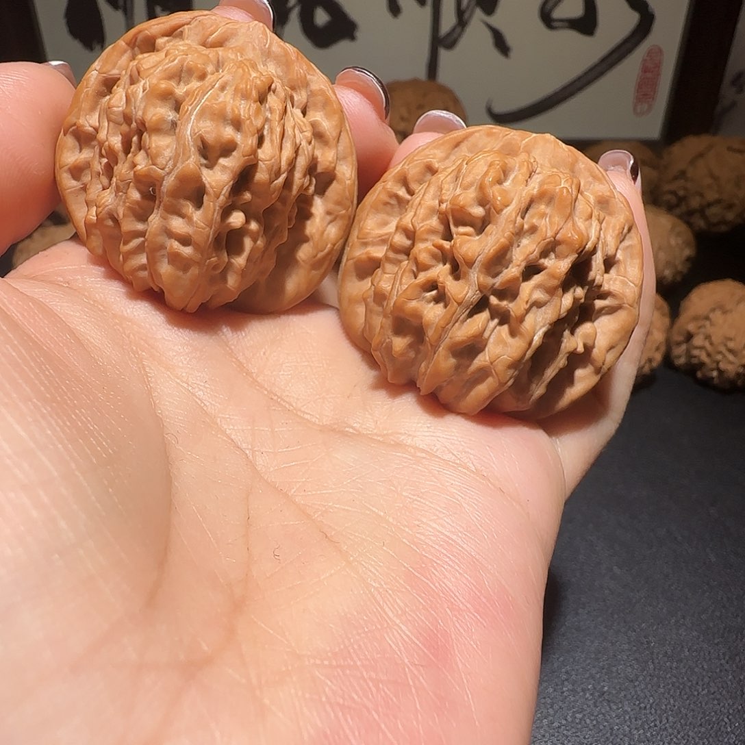 核桃全品无修四座楼