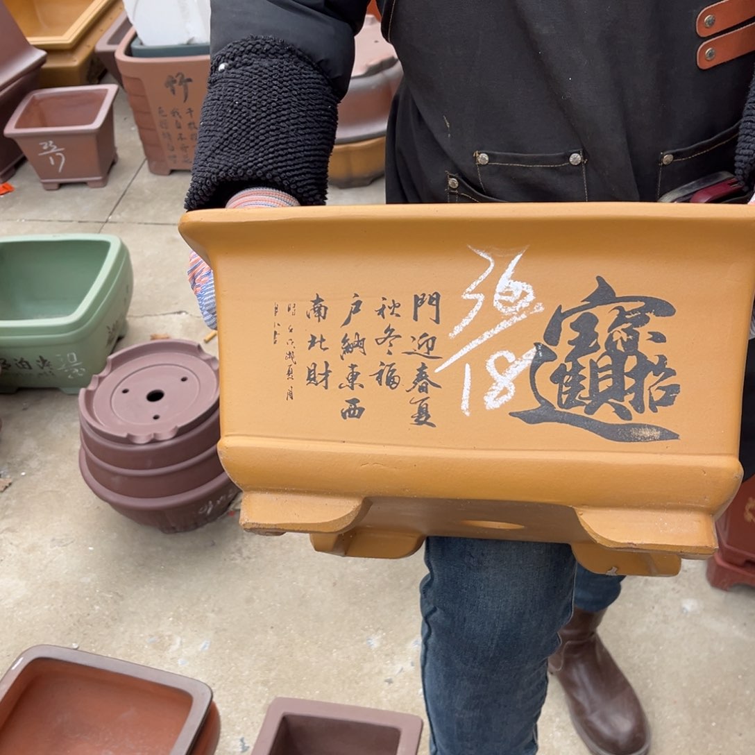 紫砂花盆盆景艺术