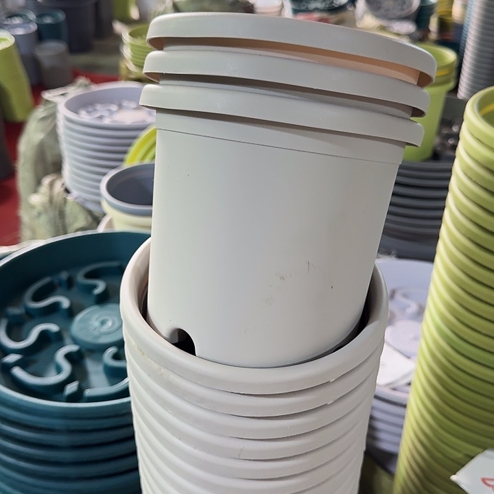 瑕疵2#灰白12个无托