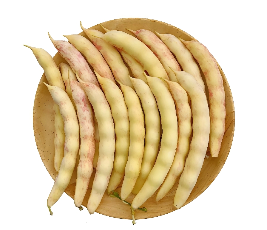 东北小园黄金勾豆角1