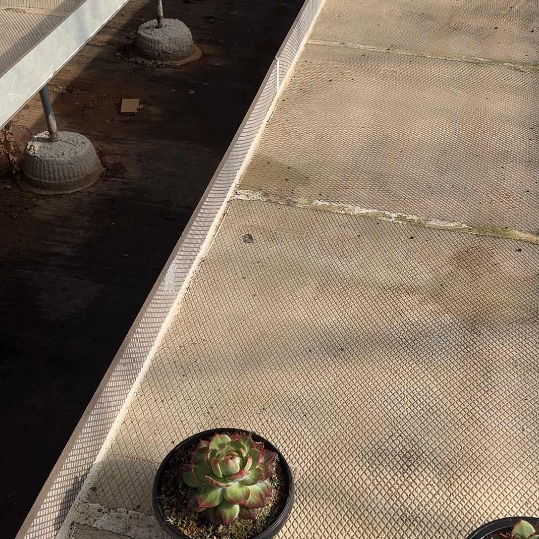 不能自已才叫一步