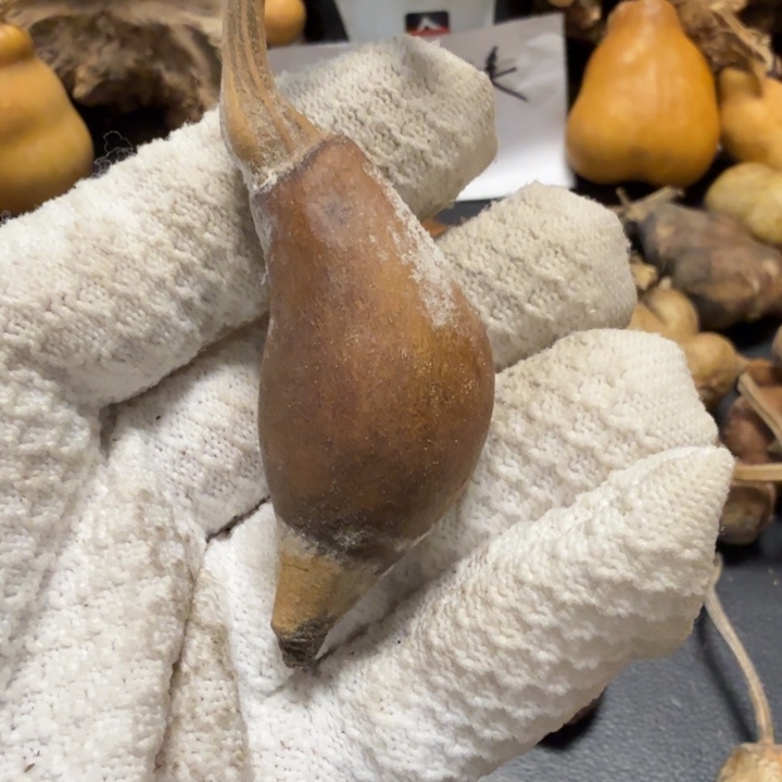 二***哥7666666666777777888