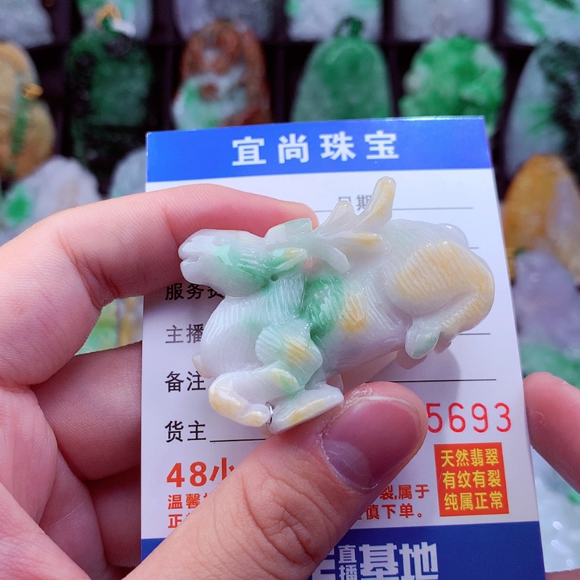 【闪购商品】翡翠颈饰未镶嵌挂件
