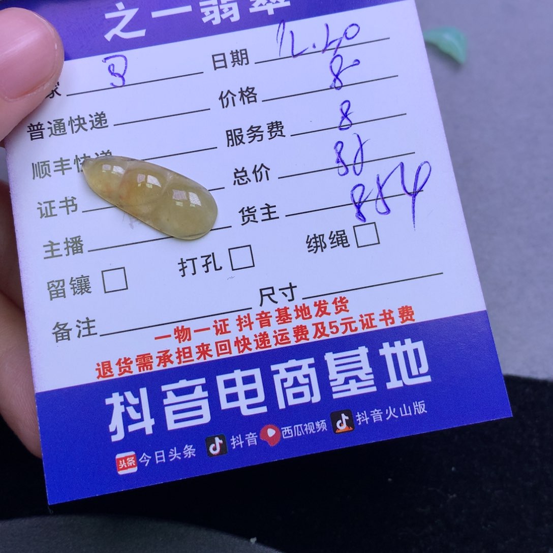 颈饰未镶嵌翡翠鮑****饰