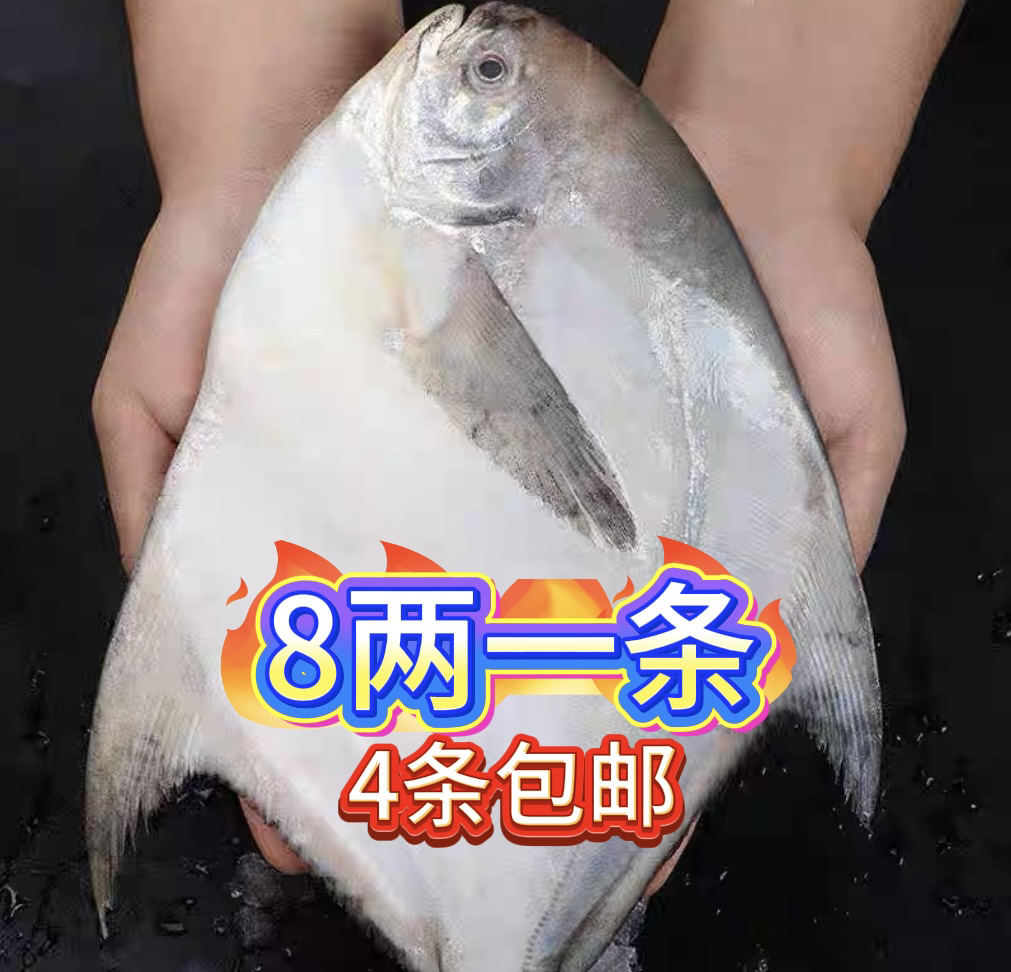 新鲜银鲳鱼 8两一条（到手4条）液氮锁鲜发货