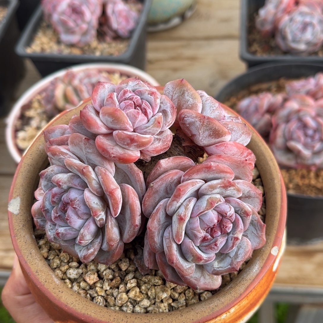 哈哈哈哈哈哈哈哈哈