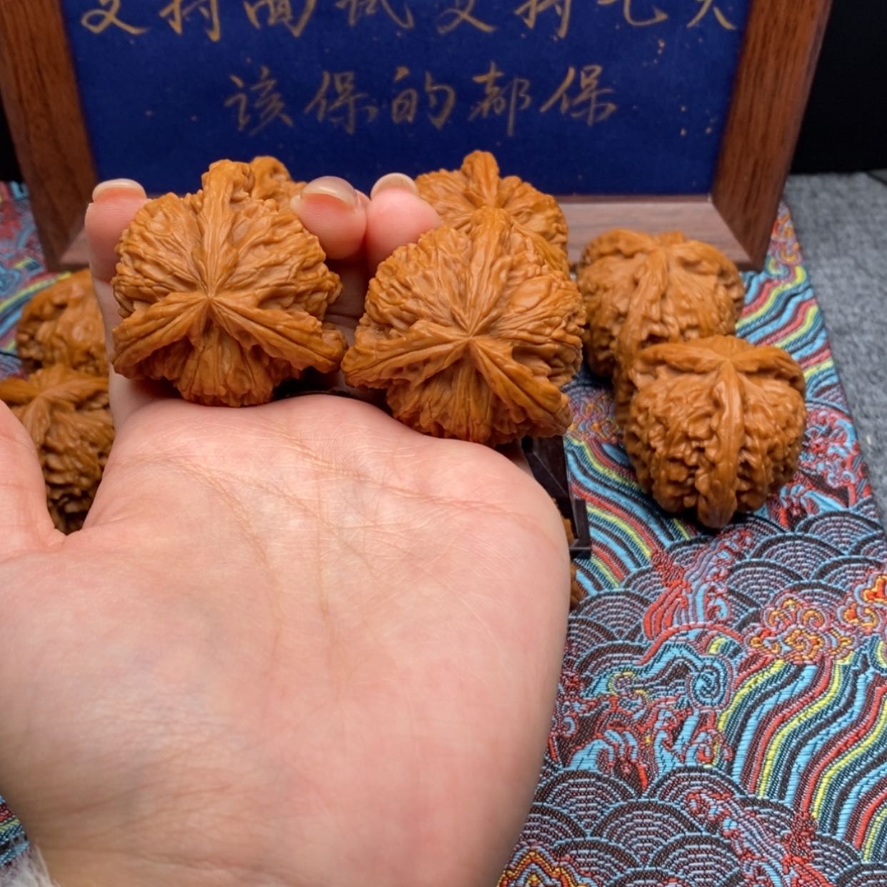 【闪购商品】淞*白狮