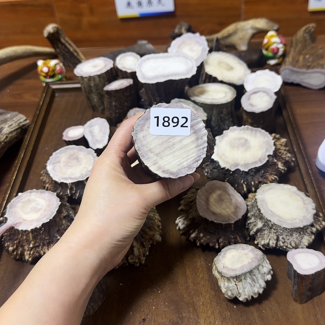 手串/手链鹿骨1892根段