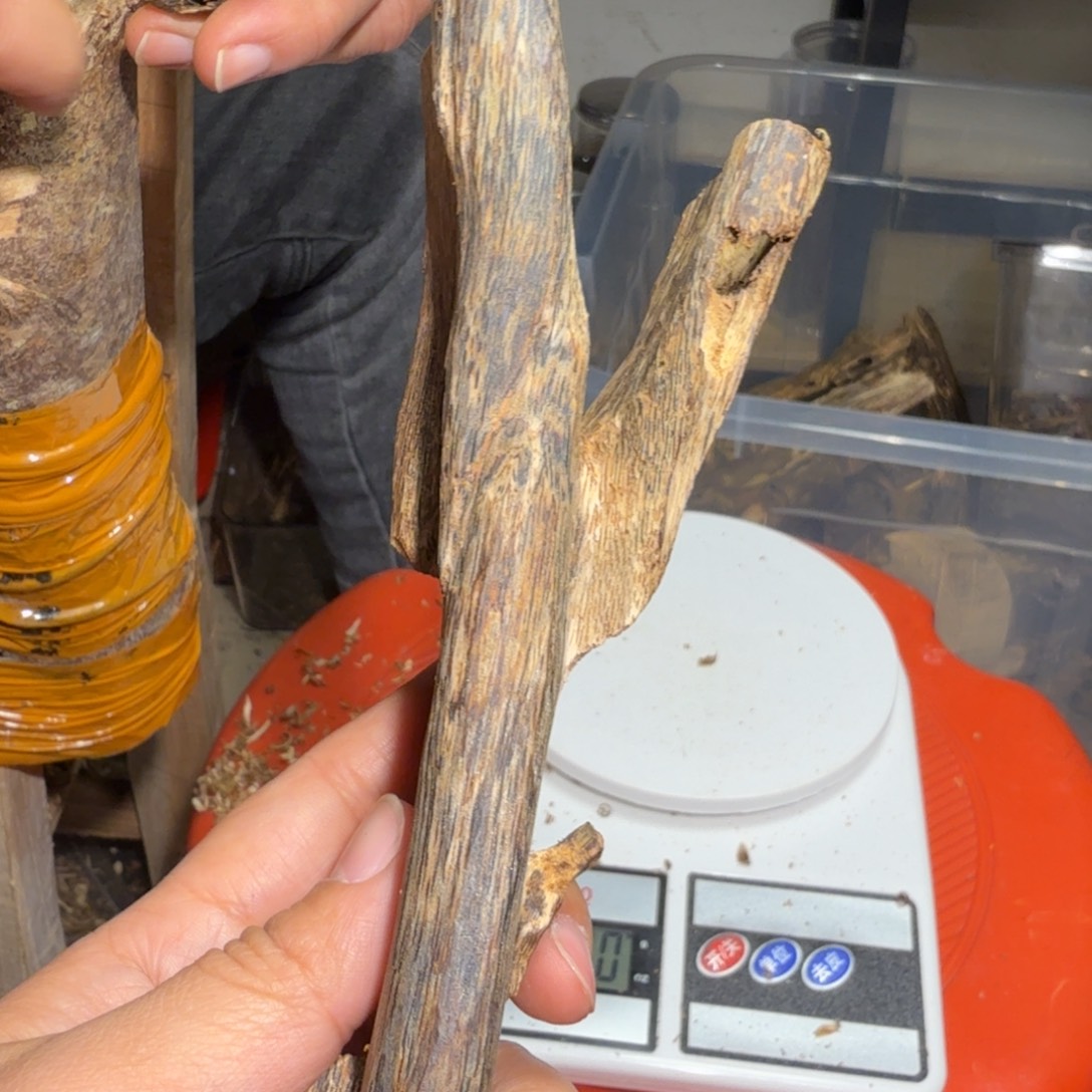 白奇沉香块料沉香