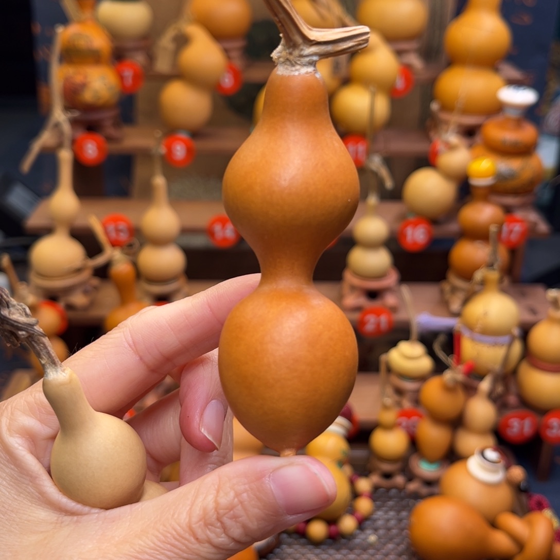 3***生弓背蚂蚁精品葫芦