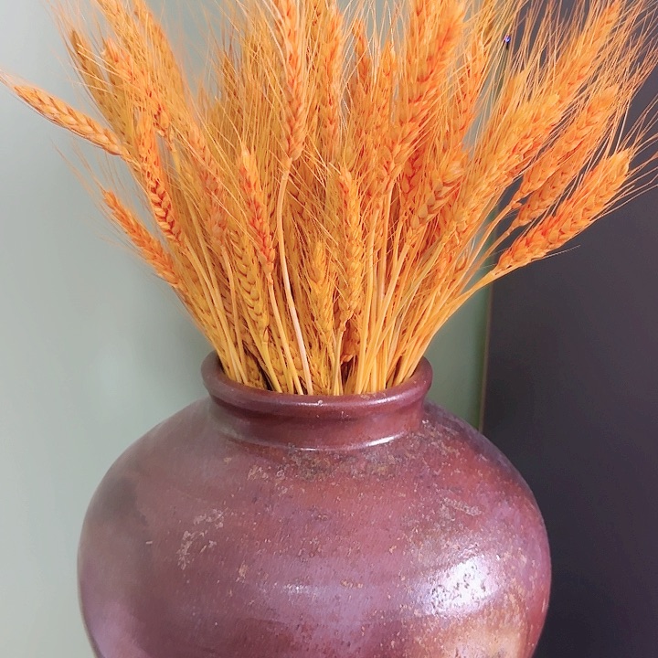 啊啊啊啊啊啊啊啊啊啊啊啊啊