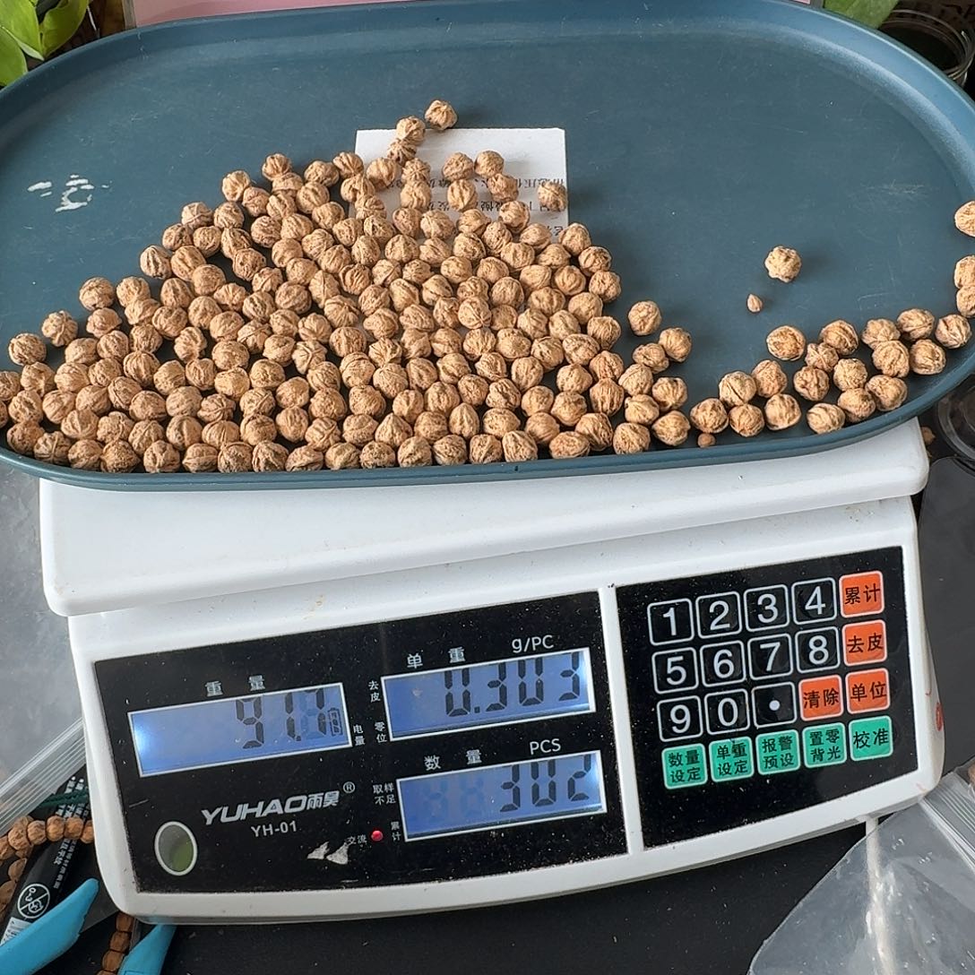 张***山手串柏香籽/百香籽57210+91克HT009